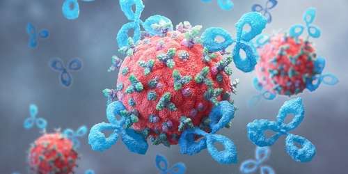 İmmünoglobulin Nedir? İmmünoglobulinlerin Çeşitleri ve Görevleri Nelerdir?